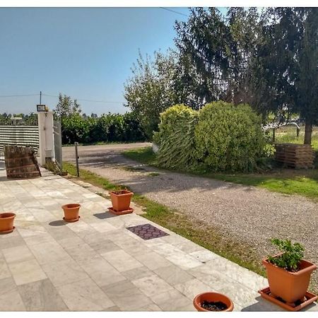 Elizabeth B&B Lentigione Екстериор снимка