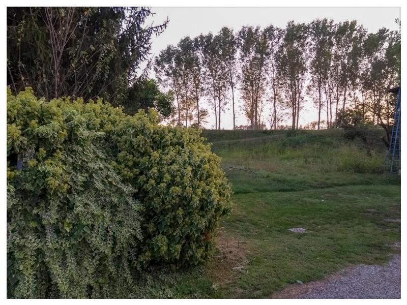Elizabeth B&B Lentigione Екстериор снимка
